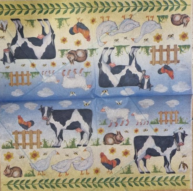 Rýžový rice papír 50x50cm domácí zvířata