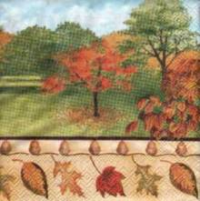 Ubrousek 25x25cm park listy