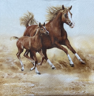 Ubrousek 33x33cm Koně