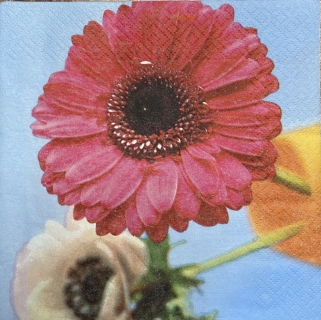Ubrousek 33x33cm Gerbera