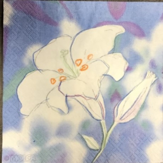 Ubrousek 25x25cm lilie