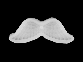 Silikonová forma křídla 4,4x10,5cm