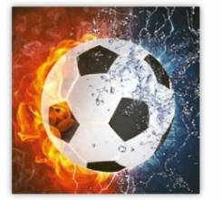 Ubrousek 33x33cm Fotbal 20ks