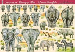 Decoupage papír 48x33,5cm safari zoo