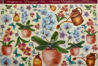 Decoupage papír 48x33,5cm orchidej