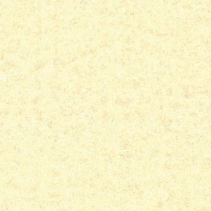 Plsť filc 30x45x2mm krémová