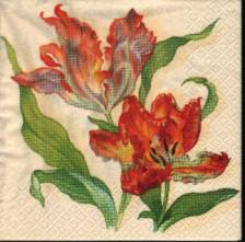 Ubrousek 33x33cm tulipán