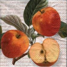 Ubrousek 33x33cm jablko