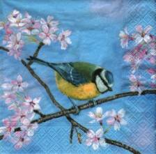 Ubrousek 33x33cm ptáček