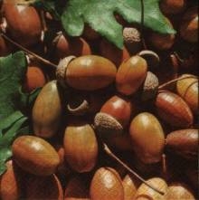 Ubrousek 33x33cm