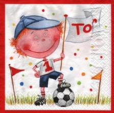 Ubrousek 33x33cm fotbal