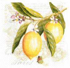 Ubrousek 33x33cm citron