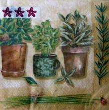 Ubrousek 33x33cm bylinky