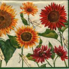 Sada ubrousků 33x33cm 20ks slunečnice