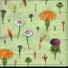 Ubrousek 33x33cm pampeliška sedmikráska