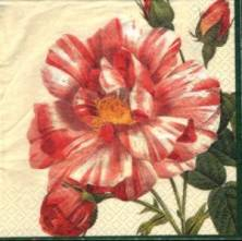 Ubrousek 33x33cm růže