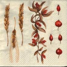 Ubrousek 33x33cm šípek