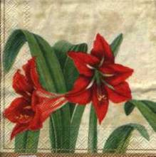 Ubrousek 25x25cm