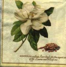 Ubrousek 25x25cm