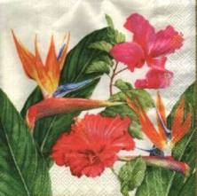 Ubrousek 33x33cm