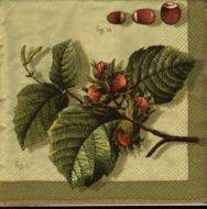 Ubrousek 33x33cm líska