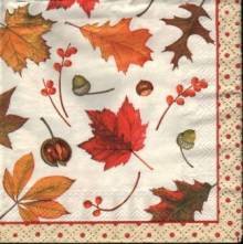 Ubrousek 33x33cm listy
