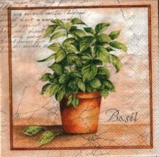 Ubrousek 33x33cm bylinky