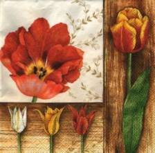 Ubrousek 33x33cm tulipán