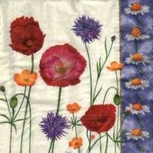 Sada ubrousků 33x33cm 20ks