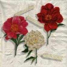 Sada ubrousků 33x33cm 20ks