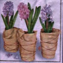Sada ubrousků 33x33cm 20ks hyacint