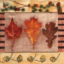 Sada ubrousků 25x25cm 20ks list