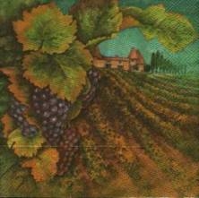 Sada ubrousků 33x33cm 20ks