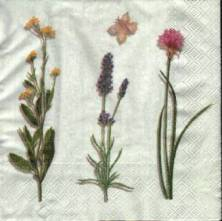 Sada ubrousků 33x33cm 20ks