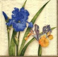 Sada ubrousků 33x33cm 20ks
