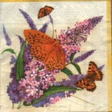 Sada ubrousků 33x33cm 20ks