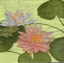 Sada ubrousků  33x33cm 20ks