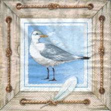 Sada ubrousků  33x33cm 20ks racek