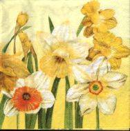 Sada ubrousků 33x33cm 20ks narcis