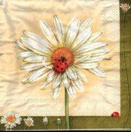 Sada ubrousků  33x33cm 20ks kopretina