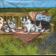 Sada ubrousků 33x33cm 20ks kočky