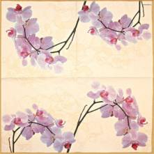 Sada ubrousků  33x33cm 20ks orchidej