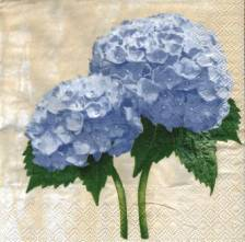 Sada ubrousků 33x33cm 20ks hortenzie