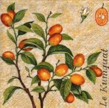 Ubrousek 33x33cm