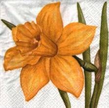 Ubrousek 33x33cm