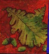Ubrousek 33x33cm dub list