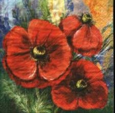 Sada ubrousků  33x33cm 20ks